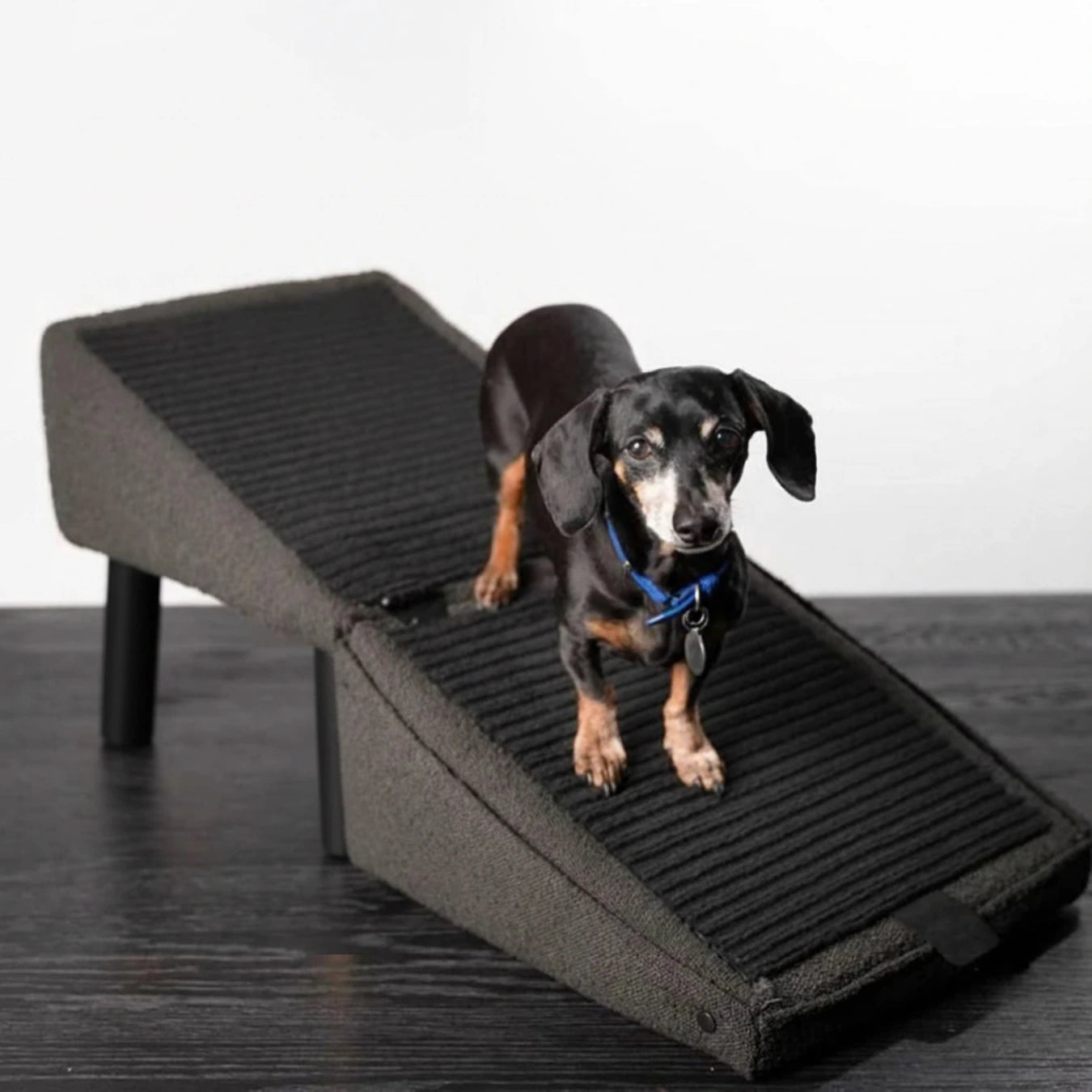 Lunatto Hundramp med Sittpuff i ett När hunden inte orkar hoppa längre -Djurslottet