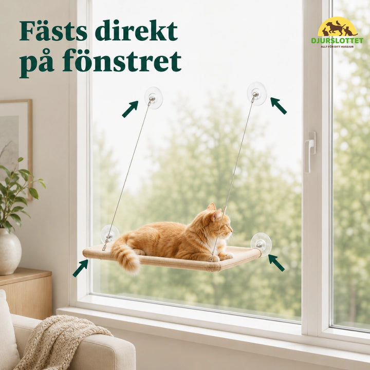 Lunera Fönstersäng direkt - Djurslottet