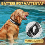 Lysande Airtag halsband För hundar Batteri IPX7 - Djurslottet