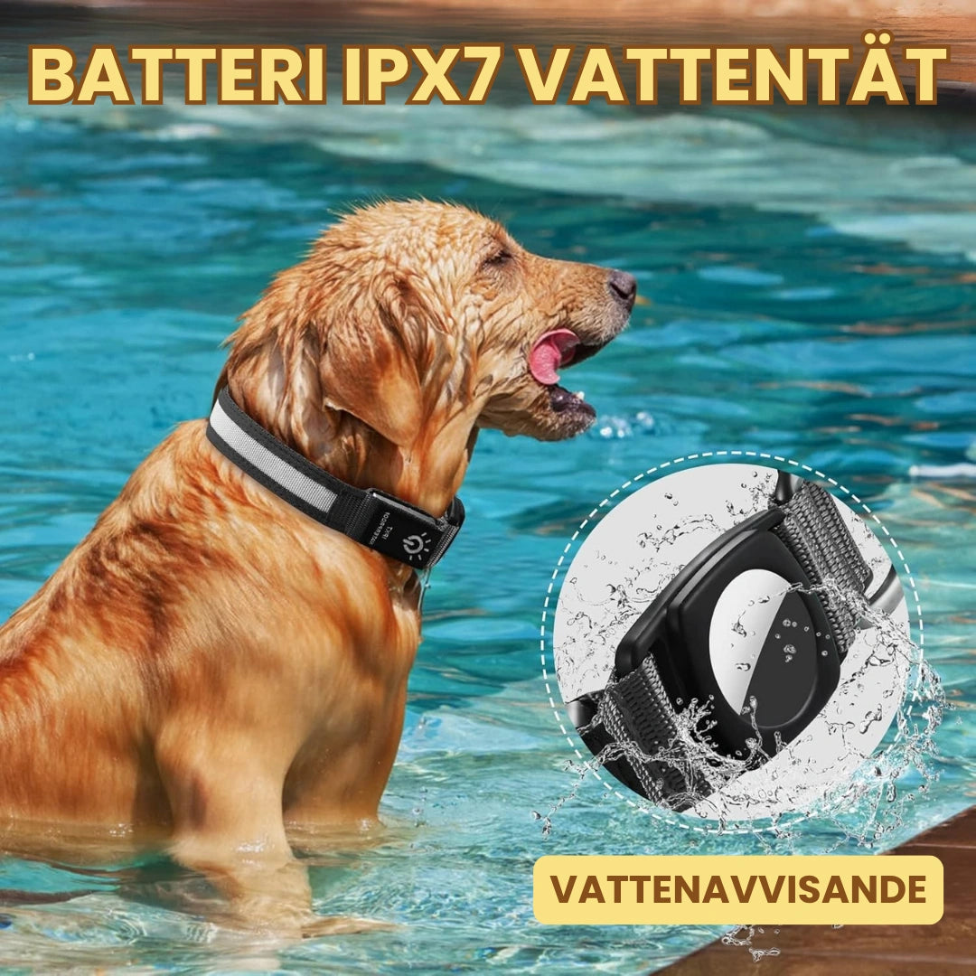 Lysande Airtag halsband För hundar Batteri IPX7 - Djurslottet