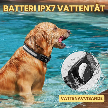 Lysande Airtag halsband För hundar Batteri IPX7 - Djurslottet