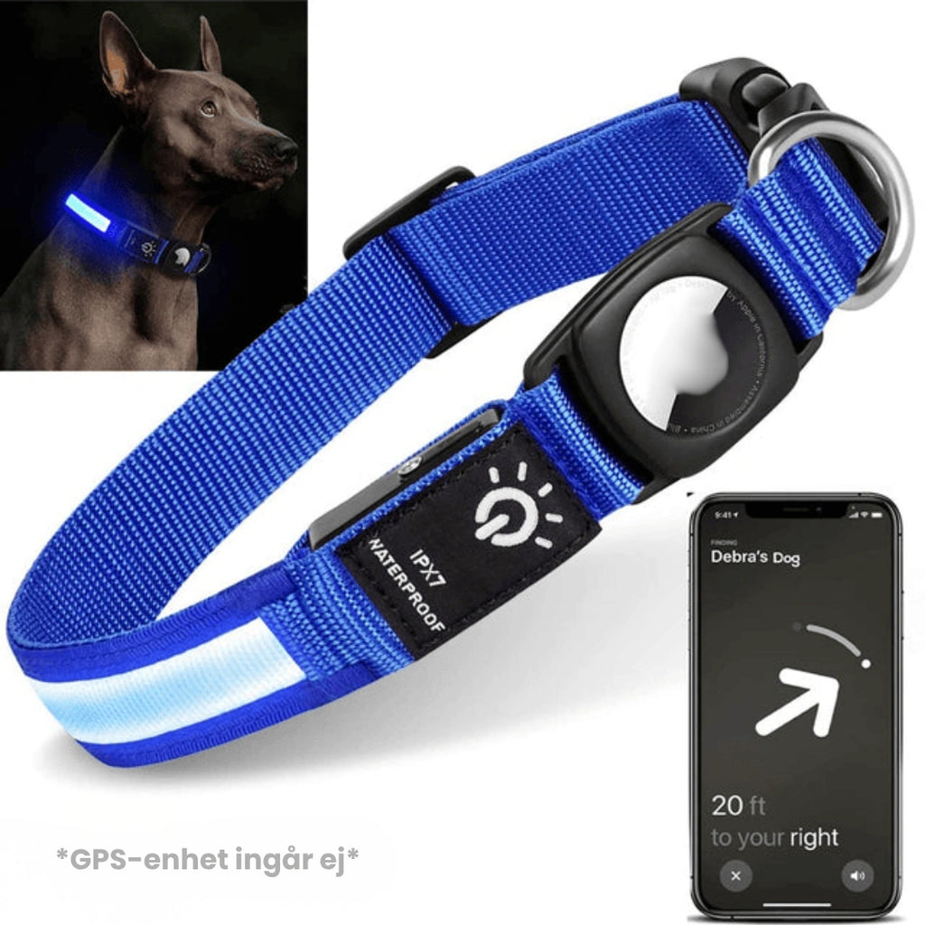 Lysande Airtag halsband För hundar Blå - Djurslottet