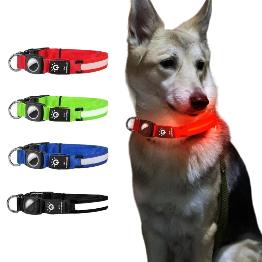 Lysande Airtag halsband För hundar Färger - Djurslottet