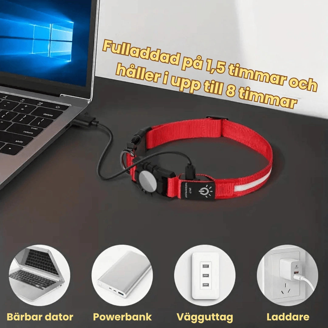Lysande Airtag halsband För hundar Fulladdad pa 1,5 timmar - Djurslottet