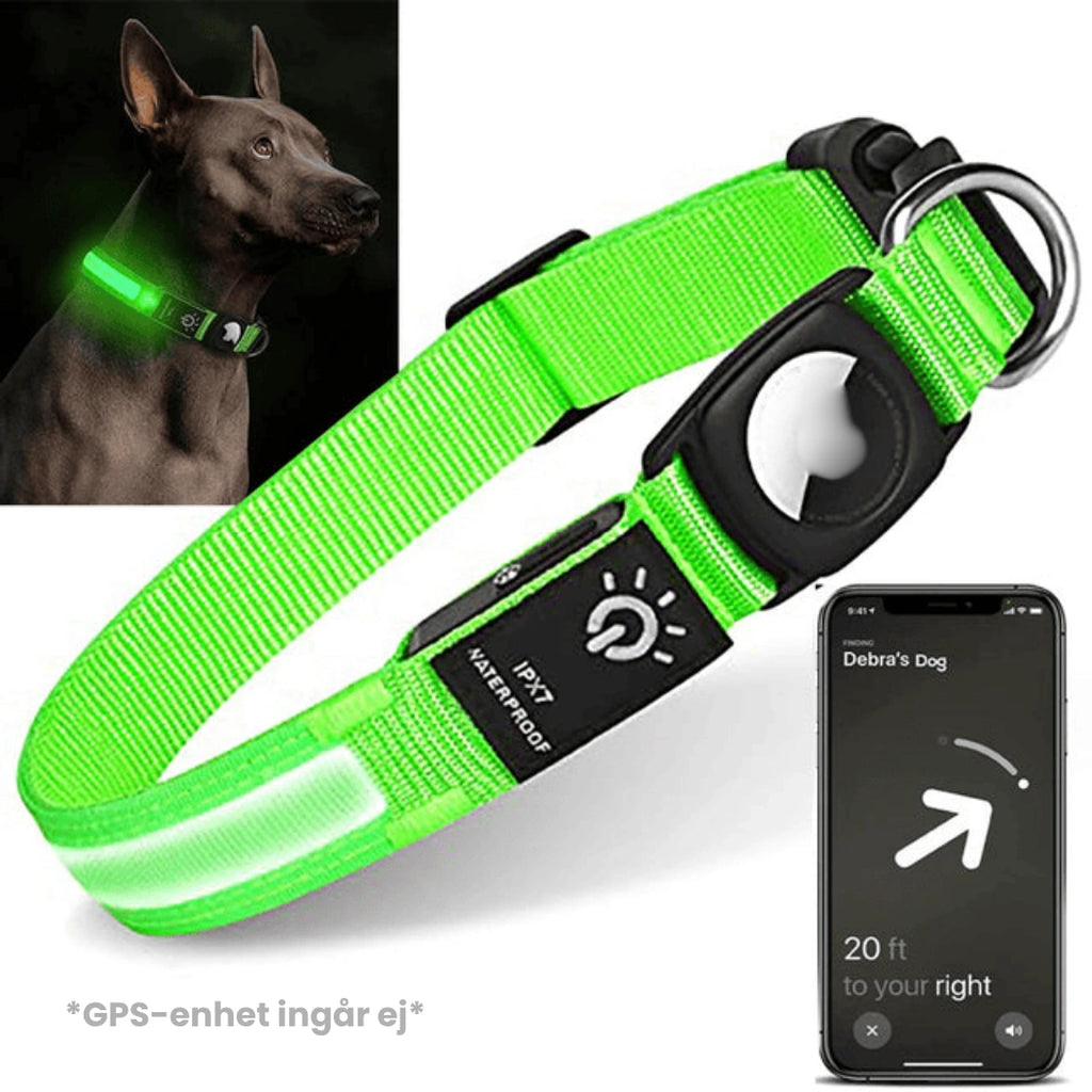 Lysande Airtag halsband För hundar Grön - Djurslottet