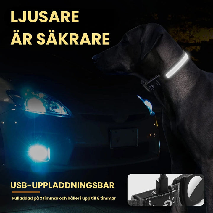 Lysande Airtag halsband För hundar Ljusare ar sakrare - Djurslottet