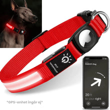 Lysande Airtag halsband För hundar