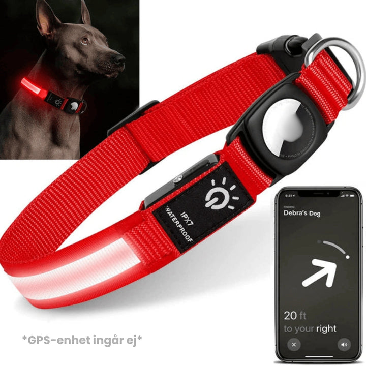 Lysande Airtag halsband För hundar Röd- Djurslottet