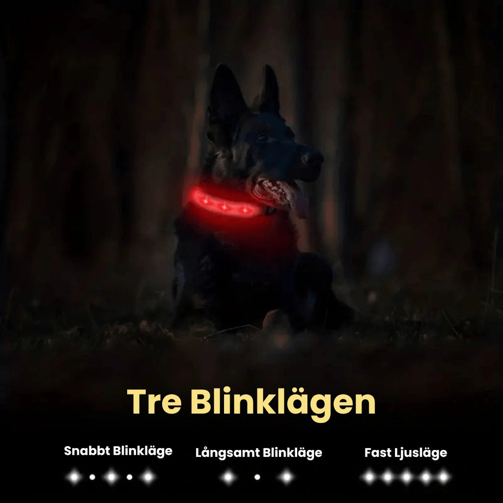 Lysande Airtag halsband För hundar Tre blinklagen - Djurslottet