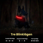 Lysande Airtag halsband För hundar Tre blinklagen - Djurslottet