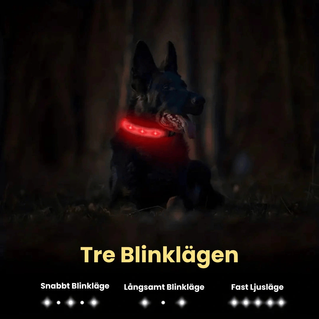 Lysande Airtag halsband För hundar Tre blinklagen - Djurslottet