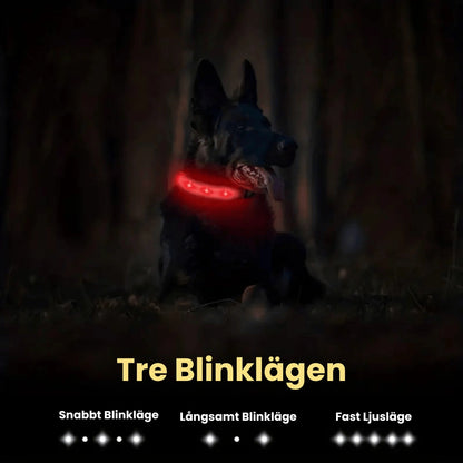 Lysande Airtag halsband För hundar Tre blinklagen - Djurslottet