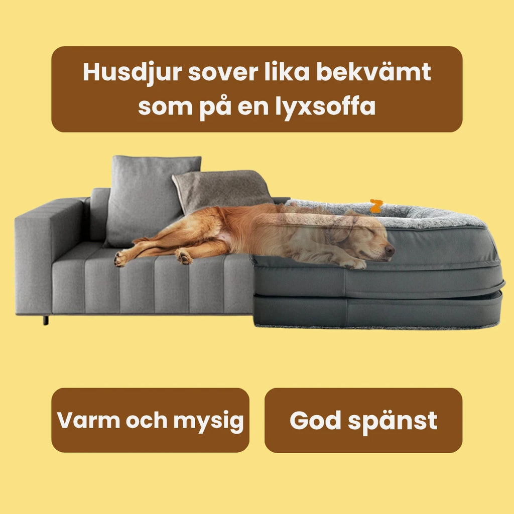 Mänsklig hundbädd Husdjur sover lika bekvämt som i en soffa - Djurslottet