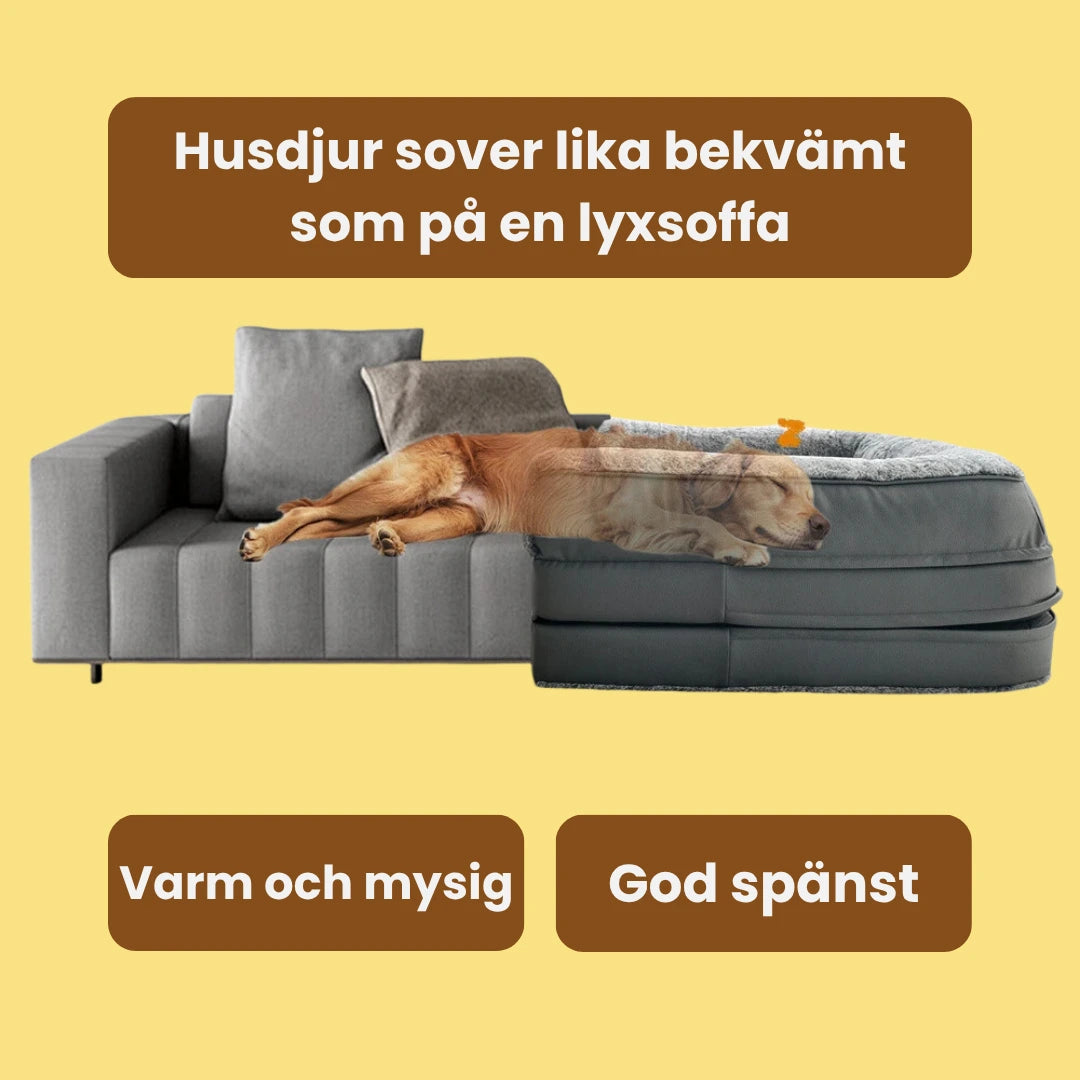 Mänsklig hundbädd Husdjur sover lika bekvämt som i en soffa - Djurslottet