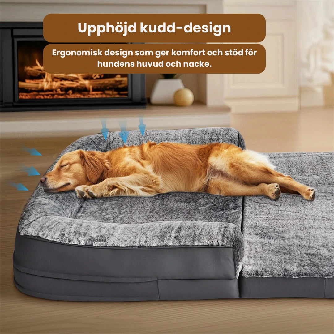 Mänsklig hundbädd Upphojd kudd-design - Djurslottet