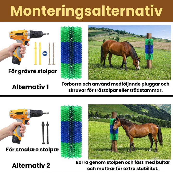 Massageborste för häst Monteringsalternativ - Djurslottet