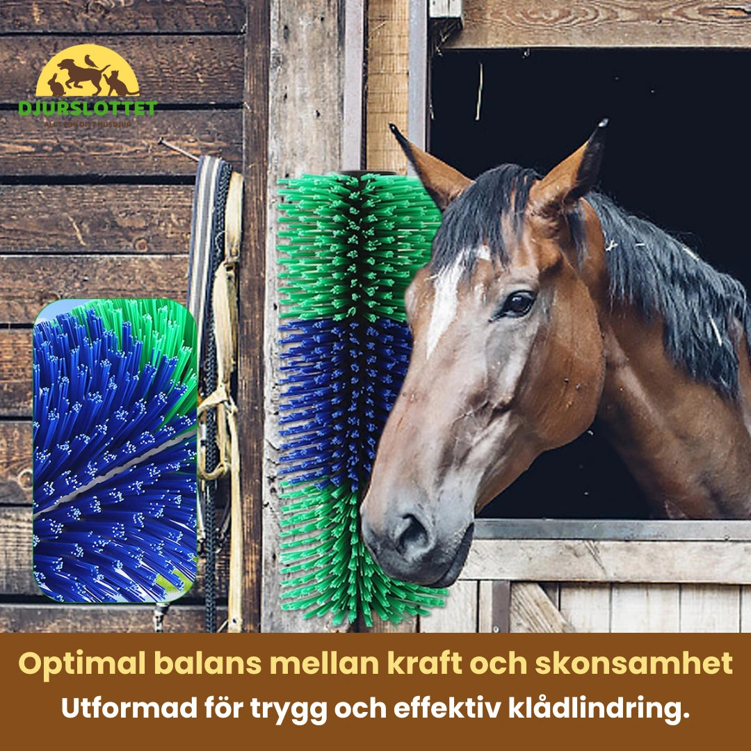 Massageborste för häst Optimal balans mellan kraft och skonsamhet - Djurslottet