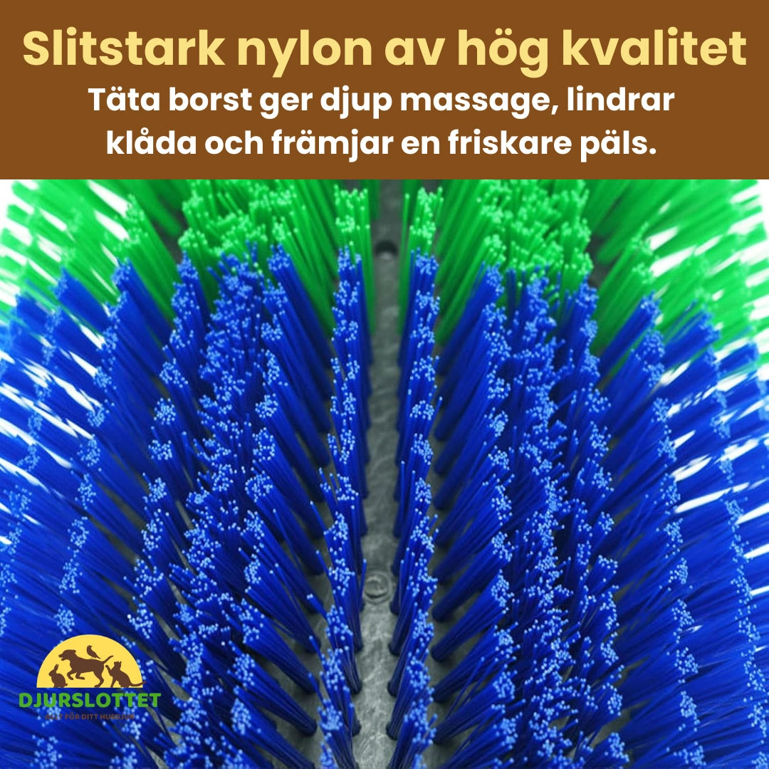 Massageborste för häst Slitstark nylon av hög kvalitet - Djurslottet