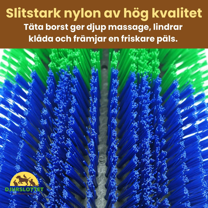 Massageborste för häst Slitstark nylon av hög kvalitet - Djurslottet