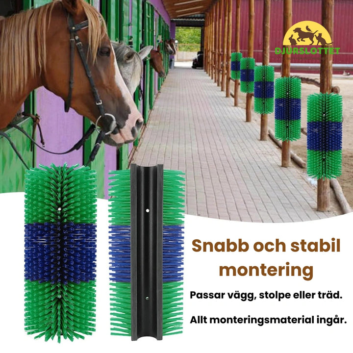 Massageborste för häst Snabb och stabil montering - Djurslottet