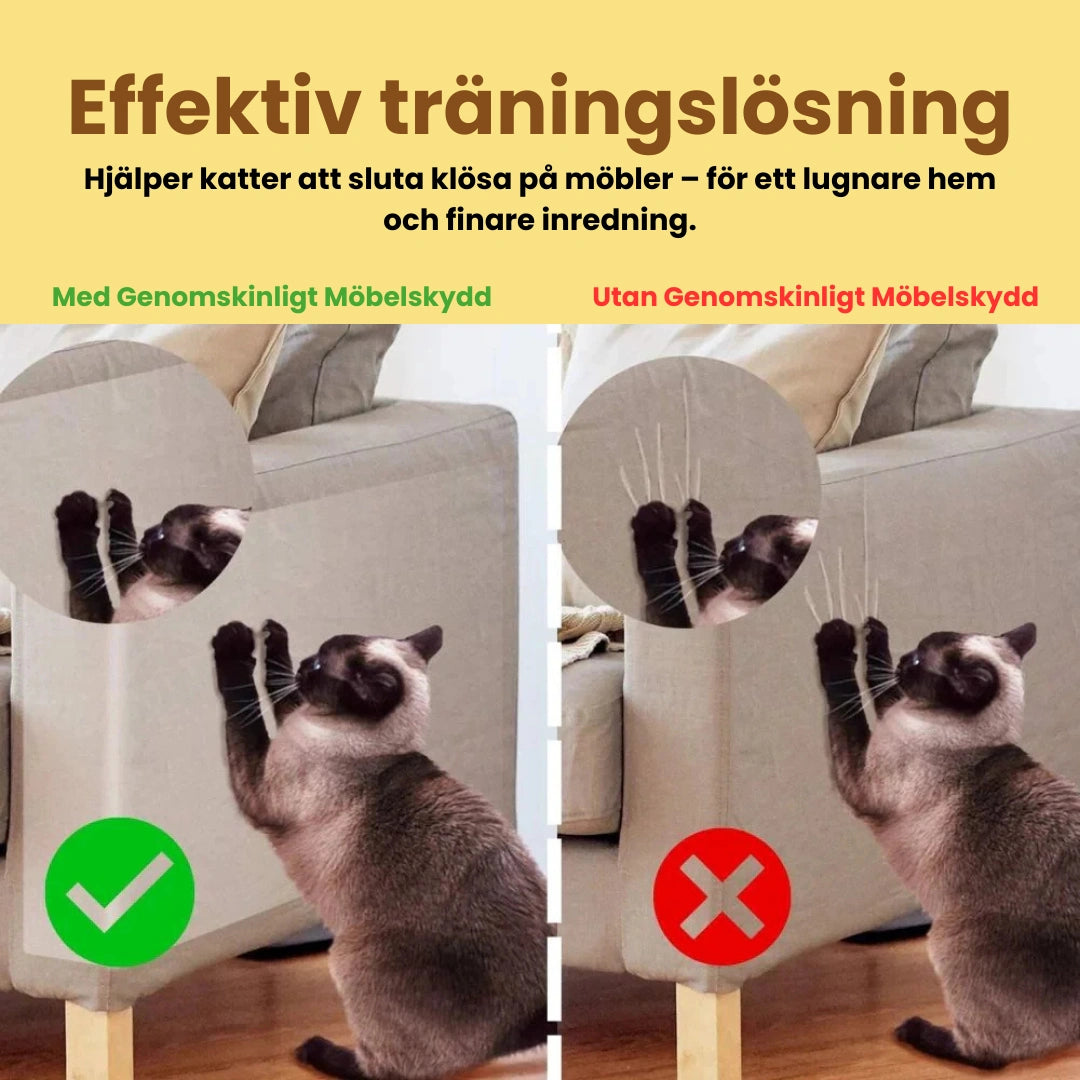 Med Genomskinligt Möbelskydd - Djurslottet