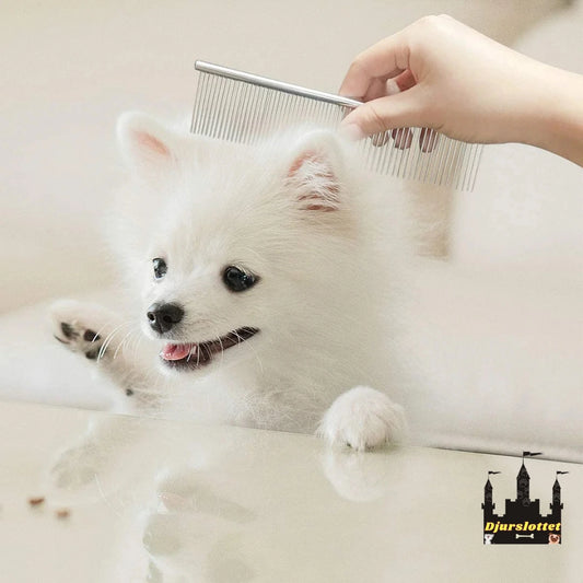 Mirakelkam Säker och enkel användning - Djurslottet