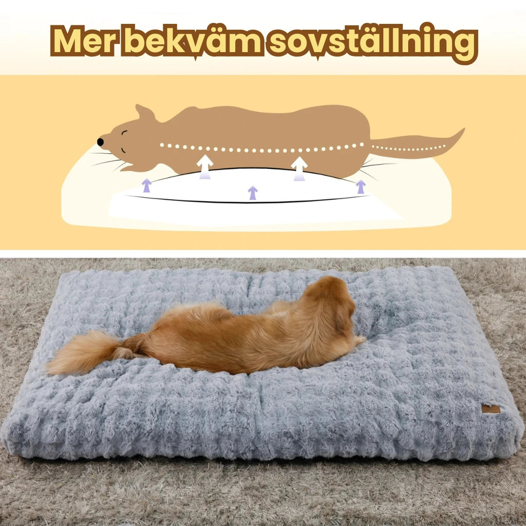 Mjuk hundmadrass för stora och små hundar Bekvämare sovplatser - Djurslottet