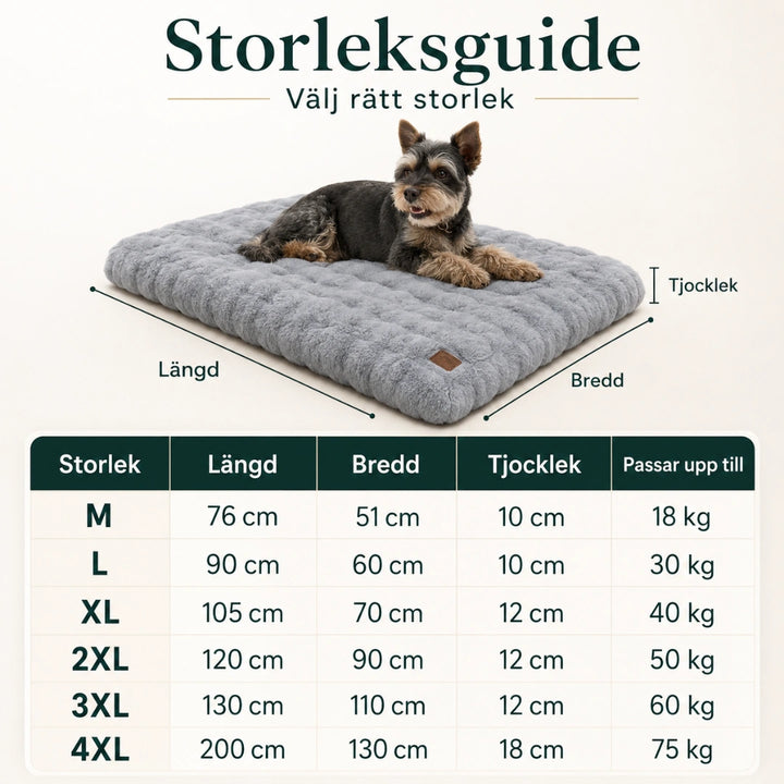 Mjuk hundmadrass storleksguide - Djurslottet