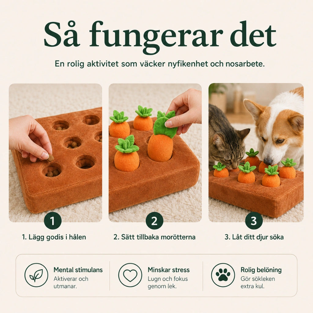 Morot Snuffelmatta fungerar det - Djurslottet