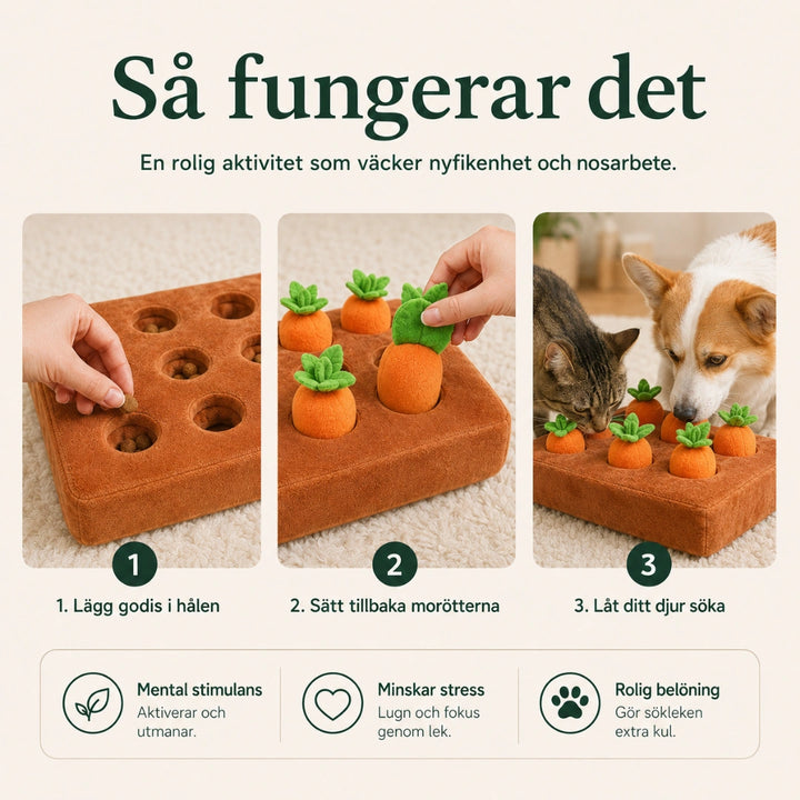 Morot Snuffelmatta fungerar det - Djurslottet