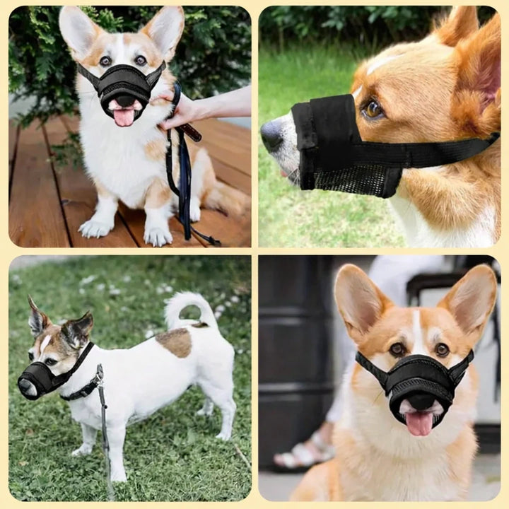 Munkorg till Hund -Djurslottet