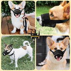 Munkorg till Hund - Djurslottet