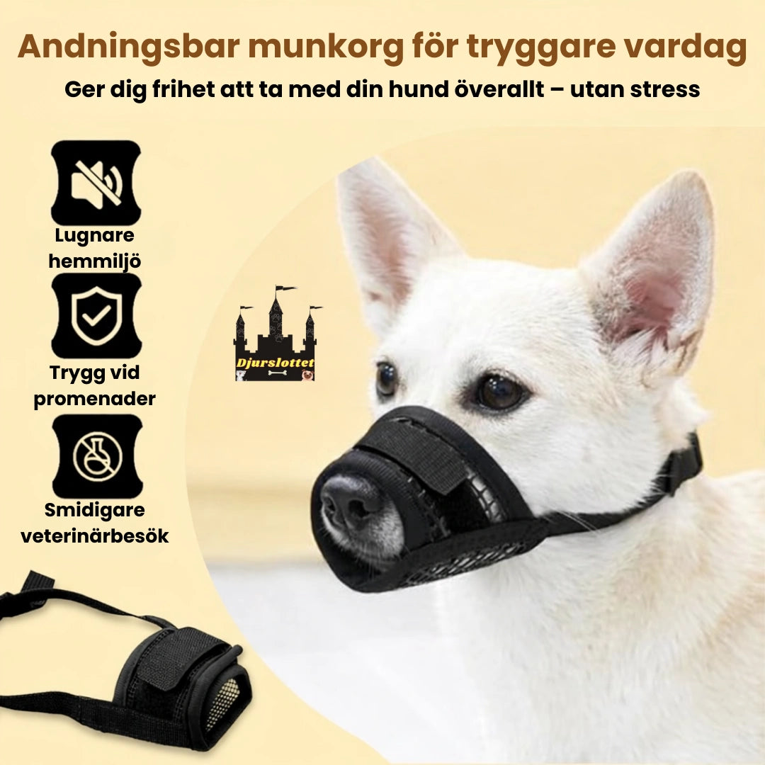 Munkorg till Hund Andningsbar munkorg för tryggare vardag - Djurslottet