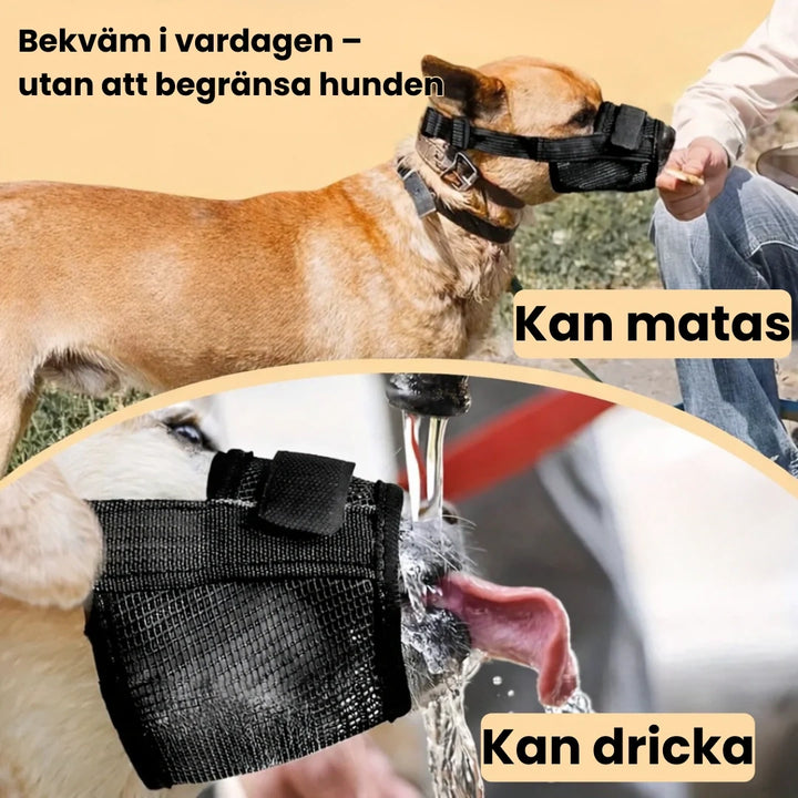 Munkorg till Hund Bekväm i vardagen – utan att begränsa hunden -Djurslottet