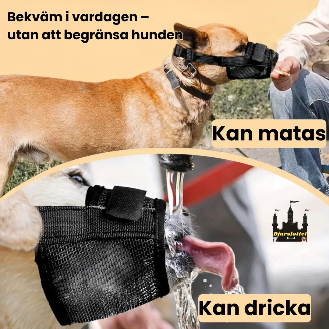 Munkorg till Hund Bekväm i vardagen – utan att begränsa hunden - Djurslottet