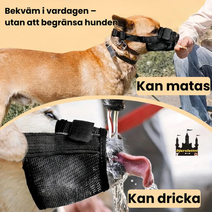 Munkorg till Hund Bekväm i vardagen – utan att begränsa hunden - Djurslottet