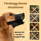 Munkorg till Hund Förebygg dessa situationer -Djurslottet