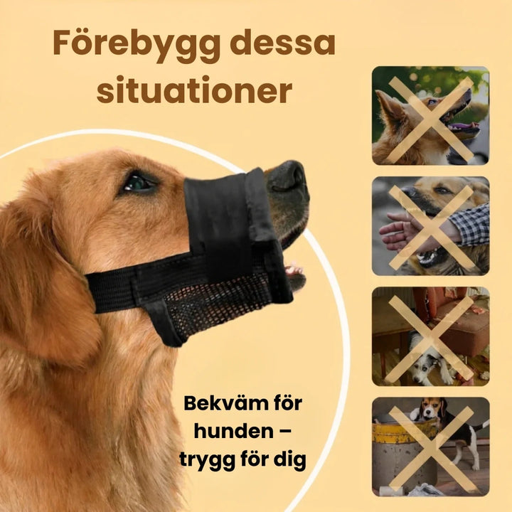 Munkorg till Hund Förebygg dessa situationer -Djurslottet