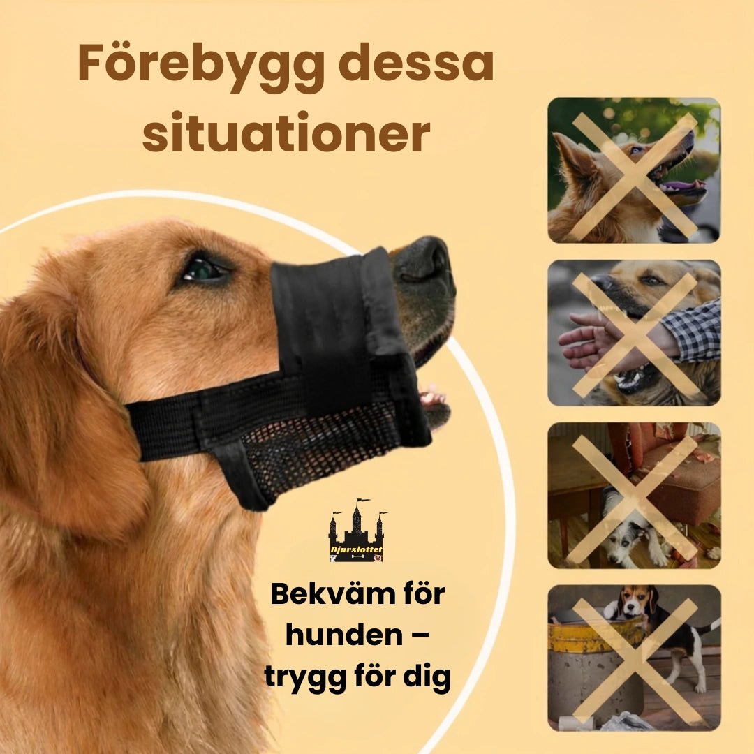 Munkorg till Hund Förebygg dessa situationer - Djurslottet