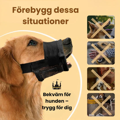 Munkorg till Hund Förebygg dessa situationer - Djurslottet