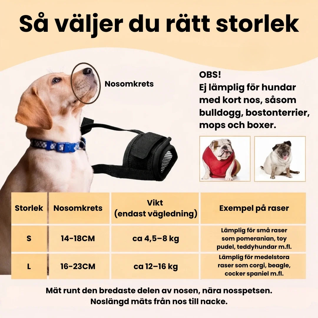 Munkorg till Hund Så väljer du rätt storlek -Djurslottet