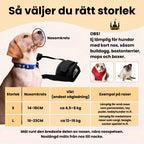 Munkorg till Hund Så väljer du rätt storlek - Djurslottet