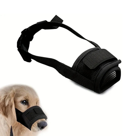 Munkorg till Hund Storlek M - Djurslottet