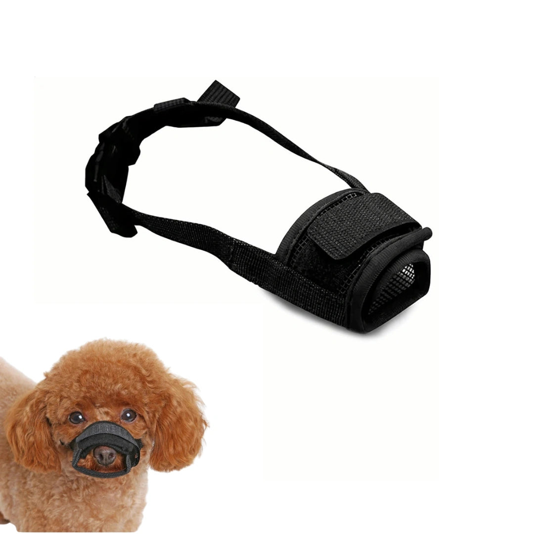 Munkorg till Hund Storlek S - Djurslottet