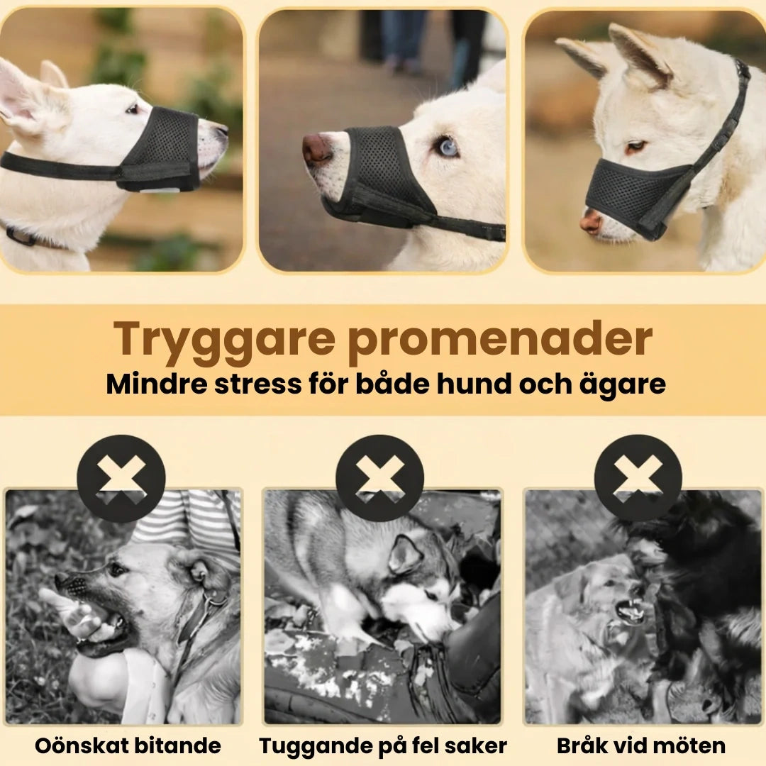 Munkorg till Hund Tryggare promenader -Djurslottet