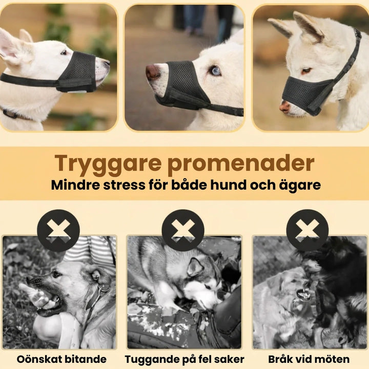 Munkorg till Hund Tryggare promenader -Djurslottet