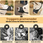 Munkorg till Hund Tryggare promenader - Djurslottet