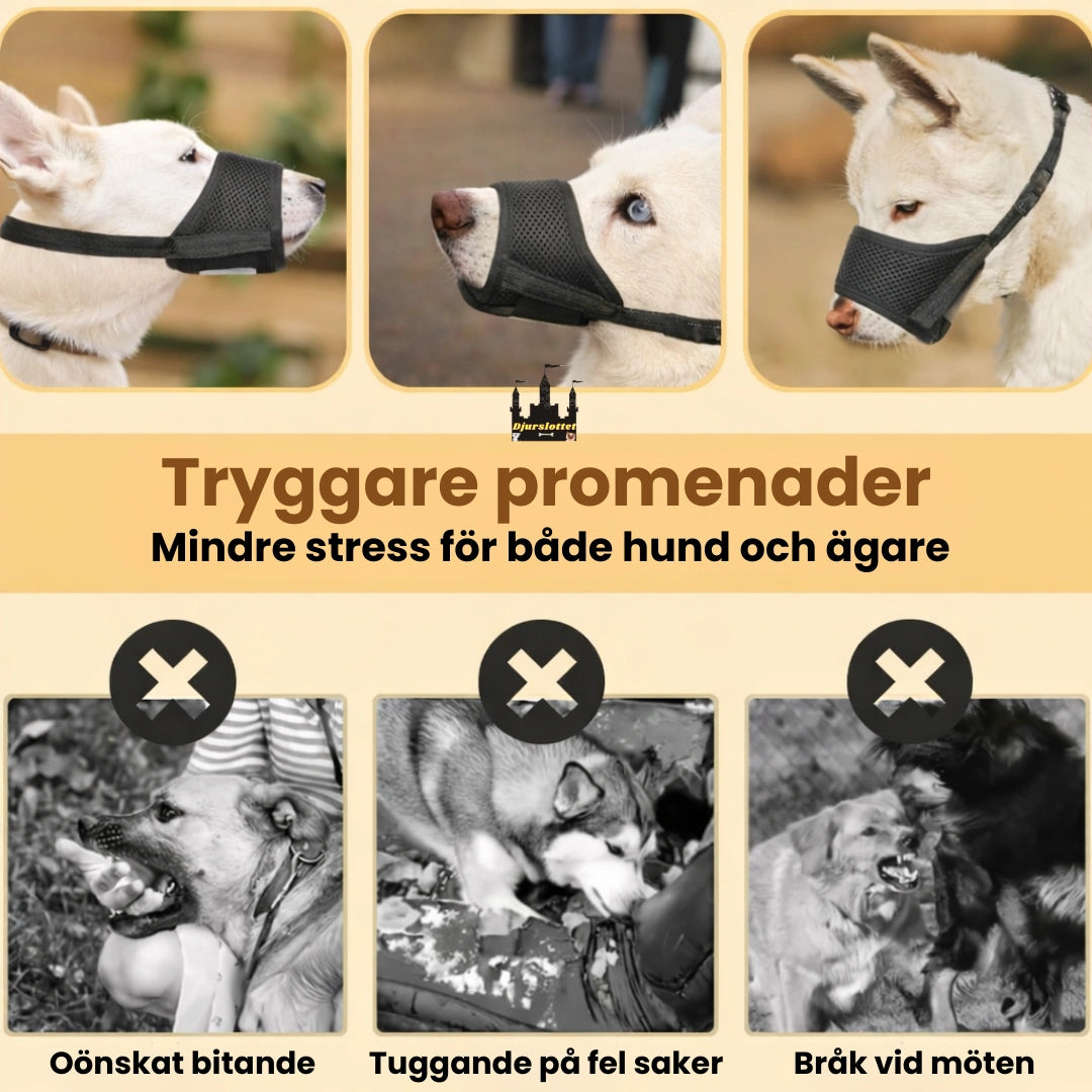 Munkorg till Hund Tryggare promenader - Djurslottet