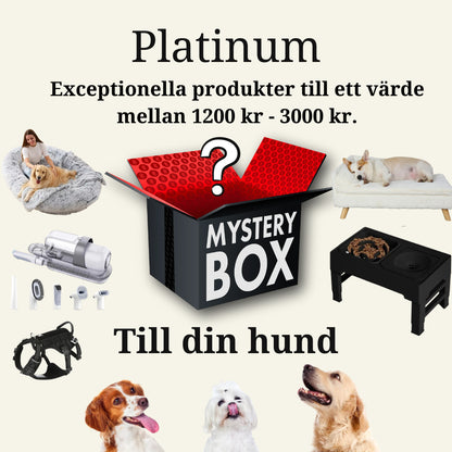 Mysterybox Prenumeration - Djurslottet