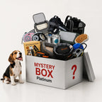 Mysterybox - Djurslottet
